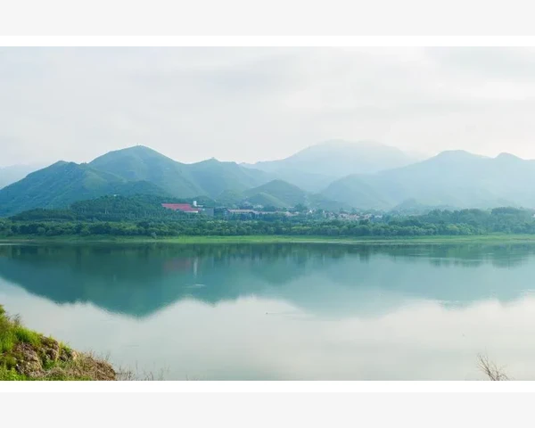 儿童心火旺盛与脾胃虚弱：饮食调养建议