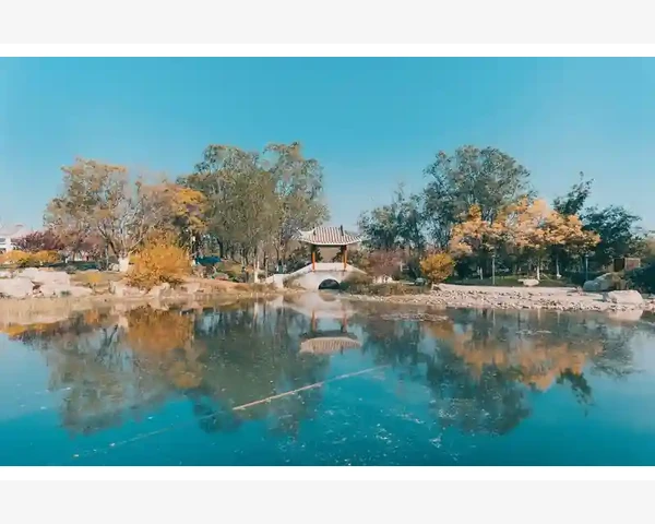 中药膏方 强脾胃：复兴古老智慧，守护健康