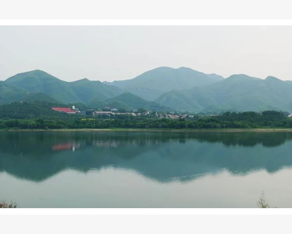 补血养生：健康生活从饮食开始